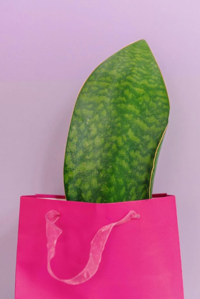 pexels-photo-7318057-7318057 A minimalist still life featuring a large green leaf inside a bright pink gift bag against a purple background.